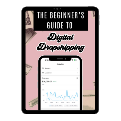 Beginner's Guide to Digital Dropshipping (With Resell Rights)